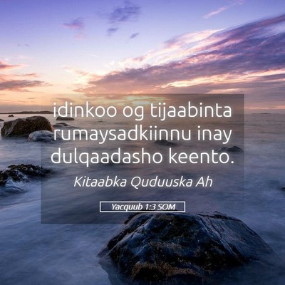 Picture 05 - Yacquub 1:3 SOM - idinkoo og tijaabinta rumaysadkiinnu inay - Bible Verse Picture