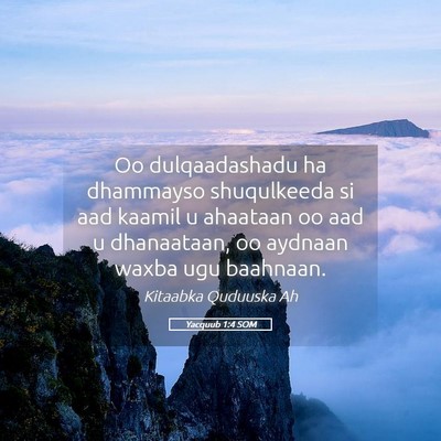 Picture 05 - Yacquub 1:4 SOM - Oo dulqaadashadu ha dhammayso shuqulkeeda si aad - Bible Verse Picture