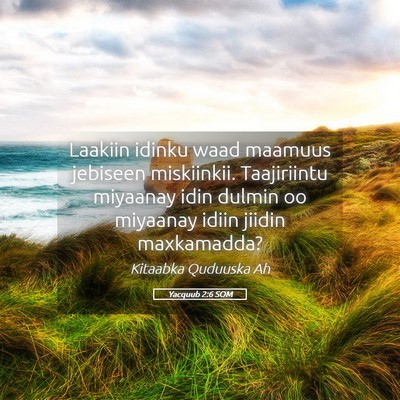 Picture 05 - Yacquub 2:6 SOM - Laakiin idinku waad maamuus jebiseen miskiinkii. - Bible Verse Picture