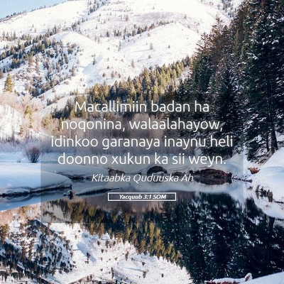 Picture 05 - Yacquub 3:1 SOM - Macallimiin badan ha noqonina, walaalahayow, - Bible Verse Picture