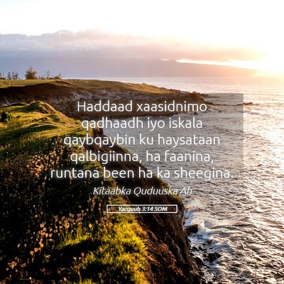 Picture 05 - Yacquub 3:14 SOM - Haddaad xaasidnimo qadhaadh iyo iskala qaybqaybin - Bible Verse Picture