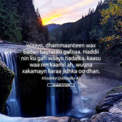 Picture 05 - Yacquub 3:2 SOM - Waayo, dhammaanteen wax badan baynu ku gafnaa. - Bible Verse Picture