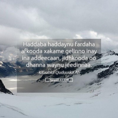 Picture 05 - Yacquub 3:3 SOM - Haddaba haddaynu fardaha afkooda xakame gelinno - Bible Verse Picture