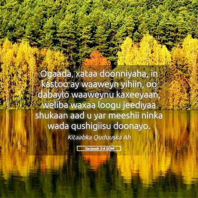 Picture 05 - Yacquub 3:4 SOM - Ogaada, xataa doonniyaha, in kastoo ay waaweyn - Bible Verse Picture