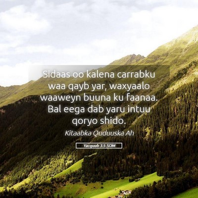 Picture 05 - Yacquub 3:5 SOM - Sidaas oo kalena carrabku waa qayb yar, waxyaalo - Bible Verse Picture