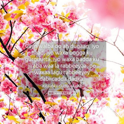 Picture 05 - Yacquub 3:7 SOM - Cayn walba oo ah dugaag, iyo haad, iyo waxa bogga - Bible Verse Picture