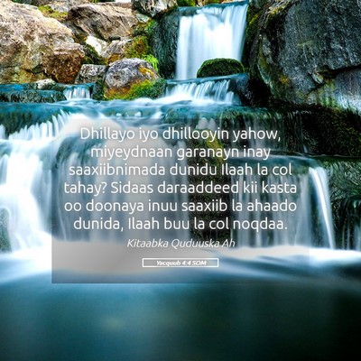 Picture 05 - Yacquub 4:4 SOM - Dhillayo iyo dhillooyin yahow, miyeydnaan - Bible Verse Picture