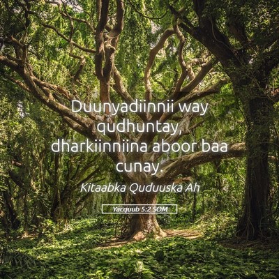Picture 05 - Yacquub 5:2 SOM - Duunyadiinnii way qudhuntay, dharkiinniina aboor - Bible Verse Picture