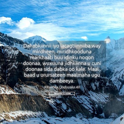 Picture 05 - Yacquub 5:3 SOM - Dahabkiinnii iyo lacagtiinniiba way mirdheen, - Bible Verse Picture