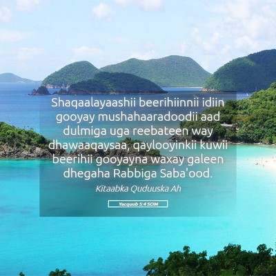 Picture 05 - Yacquub 5:4 SOM - Shaqaalayaashii beerihiinnii idiin gooyay - Bible Verse Picture