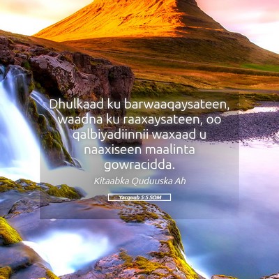 Picture 05 - Yacquub 5:5 SOM - Dhulkaad ku barwaaqaysateen, waadna ku - Bible Verse Picture