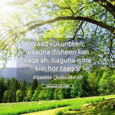 Picture 05 - Yacquub 5:6 SOM - Waad xukunteen, waadna disheen kan xaqa ah. - Bible Verse Picture