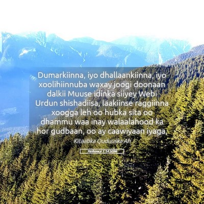 Picture 05 - Yashuuca 1:14 SOM - Dumarkiinna, iyo dhallaankiinna, iyo - Bible Verse Picture