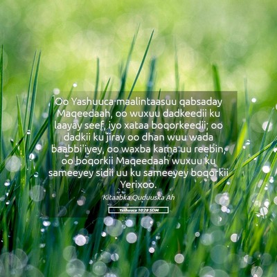 Picture 05 - Yashuuca 10:28 SOM - Oo Yashuuca maalintaasuu qabsaday Maqeedaah, oo - Bible Verse Picture