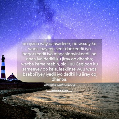 Picture 05 - Yashuuca 10:37 SOM - oo iyana way qabsadeen, oo waxay ku wada laayeen - Bible Verse Picture