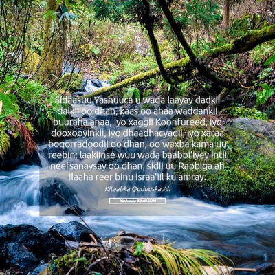 Picture 05 - Yashuuca 10:40 SOM - Sidaasuu Yashuuca u wada laayay dadkii dalkii oo - Bible Verse Picture