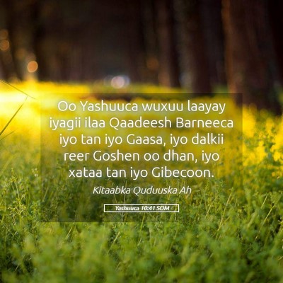 Picture 05 - Yashuuca 10:41 SOM - Oo Yashuuca wuxuu laayay iyagii ilaa Qaadeesh - Bible Verse Picture