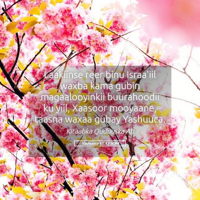 Picture 05 - Yashuuca 11:13 SOM - Laakiinse reer binu Israa'iil waxba kama gubin - Bible Verse Picture