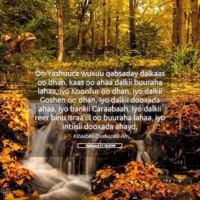 Picture 05 - Yashuuca 11:16 SOM - Oo Yashuuca wuxuu qabsaday dalkaas oo dhan, kaas - Bible Verse Picture