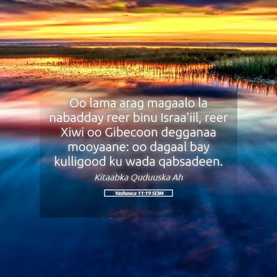 Picture 05 - Yashuuca 11:19 SOM - Oo lama arag magaalo la nabadday reer binu - Bible Verse Picture