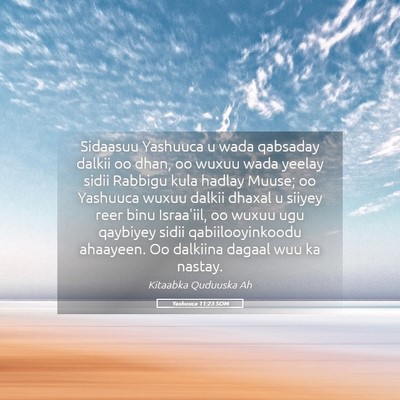Picture 05 - Yashuuca 11:23 SOM - Sidaasuu Yashuuca u wada qabsaday dalkii oo dhan, - Bible Verse Picture