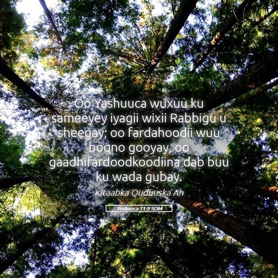 Picture 05 - Yashuuca 11:9 SOM - Oo Yashuuca wuxuu ku sameeyey iyagii wixii - Bible Verse Picture
