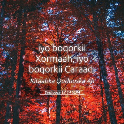 Picture 05 - Yashuuca 12:14 SOM - iyo boqorkii Xormaah, iyo boqorkii - Bible Verse Picture