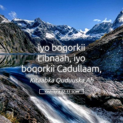 Picture 05 - Yashuuca 12:15 SOM - iyo boqorkii Libnaah, iyo boqorkii - Bible Verse Picture