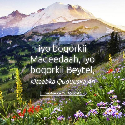 Picture 05 - Yashuuca 12:16 SOM - iyo boqorkii Maqeedaah, iyo boqorkii - Bible Verse Picture