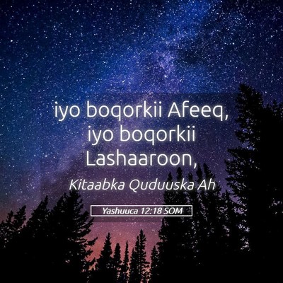 Picture 05 - Yashuuca 12:18 SOM - iyo boqorkii Afeeq, iyo boqorkii - Bible Verse Picture