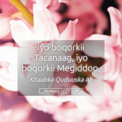 Picture 05 - Yashuuca 12:21 SOM - iyo boqorkii Tacanaag, iyo boqorkii - Bible Verse Picture