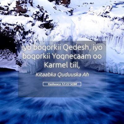 Picture 05 - Yashuuca 12:22 SOM - iyo boqorkii Qedesh, iyo boqorkii Yoqnecaam oo - Bible Verse Picture
