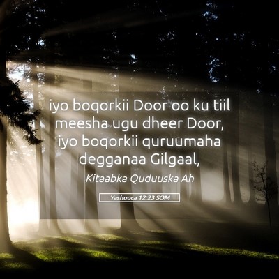 Picture 05 - Yashuuca 12:23 SOM - iyo boqorkii Door oo ku tiil meesha ugu dheer - Bible Verse Picture