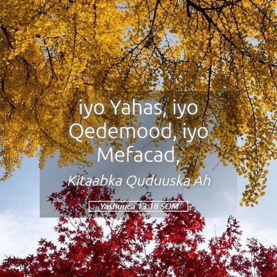 Picture 05 - Yashuuca 13:18 SOM - iyo Yahas, iyo Qedemood, iyo - Bible Verse Picture