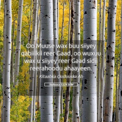 Picture 05 - Yashuuca 13:24 SOM - Oo Muuse wax buu siiyey qabiilkii reer Gaad, oo - Bible Verse Picture