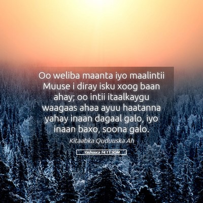 Picture 05 - Yashuuca 14:11 SOM - Oo weliba maanta iyo maalintii Muuse i diray isku - Bible Verse Picture
