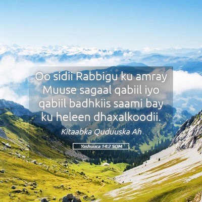 Picture 05 - Yashuuca 14:2 SOM - Oo sidii Rabbigu ku amray Muuse sagaal qabiil iyo - Bible Verse Picture