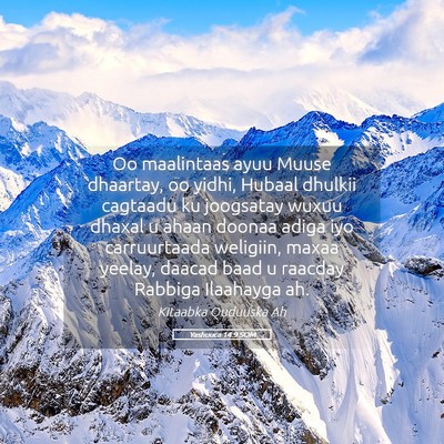 Picture 05 - Yashuuca 14:9 SOM - Oo maalintaas ayuu Muuse dhaartay, oo yidhi, - Bible Verse Picture