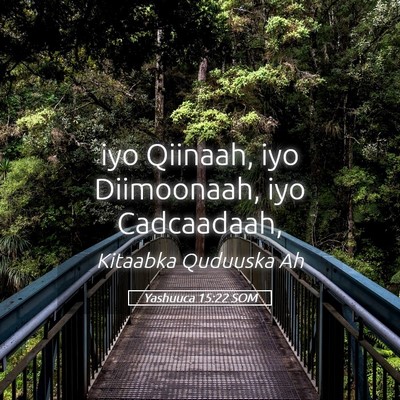 Picture 05 - Yashuuca 15:22 SOM - iyo Qiinaah, iyo Diimoonaah, iyo - Bible Verse Picture