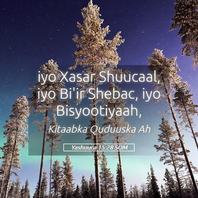 Picture 05 - Yashuuca 15:28 SOM - iyo Xasar Shuucaal, iyo Bi'ir Shebac, iyo - Bible Verse Picture
