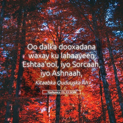 Picture 05 - Yashuuca 15:33 SOM - Oo dalka dooxadana waxay ku lahaayeen Eshtaa'ool, - Bible Verse Picture