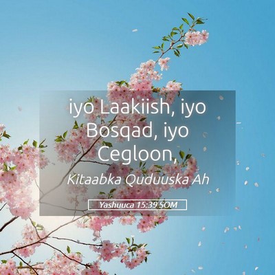 Picture 05 - Yashuuca 15:39 SOM - iyo Laakiish, iyo Bosqad, iyo - Bible Verse Picture