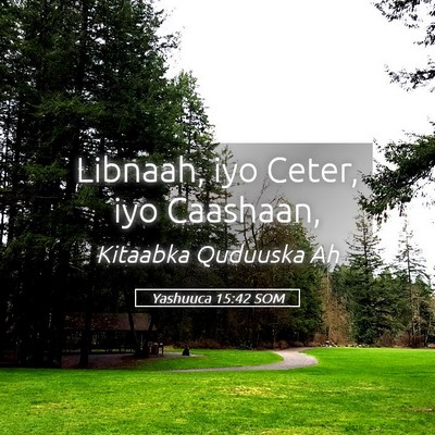 Picture 05 - Yashuuca 15:42 SOM - Libnaah, iyo Ceter, iyo - Bible Verse Picture