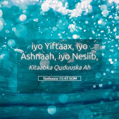 Picture 05 - Yashuuca 15:43 SOM - iyo Yiftaax, iyo Ashnaah, iyo - Bible Verse Picture