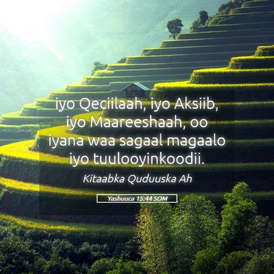 Picture 05 - Yashuuca 15:44 SOM - iyo Qeciilaah, iyo Aksiib, iyo Maareeshaah, oo - Bible Verse Picture
