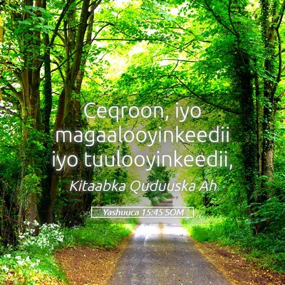 Picture 05 - Yashuuca 15:45 SOM - Ceqroon, iyo magaalooyinkeedii iyo - Bible Verse Picture