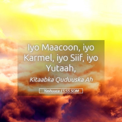 Picture 05 - Yashuuca 15:55 SOM - Iyo Maacoon, iyo Karmel, iyo Siif, iyo - Bible Verse Picture