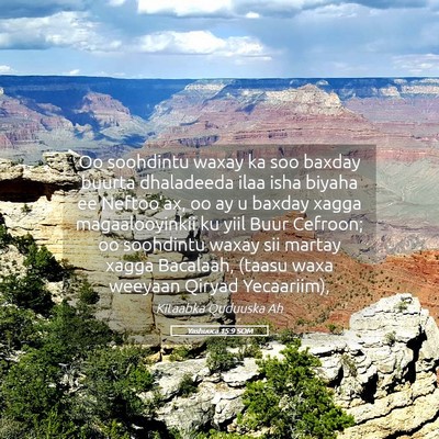 Picture 05 - Yashuuca 15:9 SOM - Oo soohdintu waxay ka soo baxday buurta - Bible Verse Picture