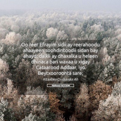 Picture 05 - Yashuuca 16:5 SOM - Oo reer Efrayim sidii ay reerahoodu ahaayeen - Bible Verse Picture