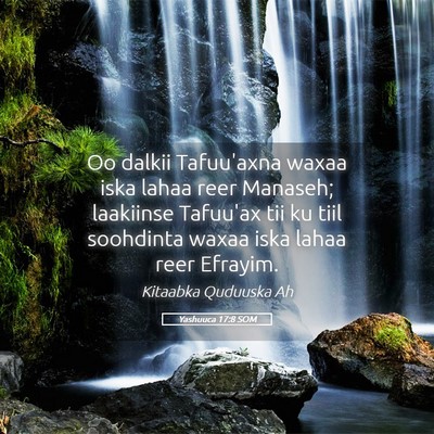 Picture 05 - Yashuuca 17:8 SOM - Oo dalkii Tafuu'axna waxaa iska lahaa reer - Bible Verse Picture